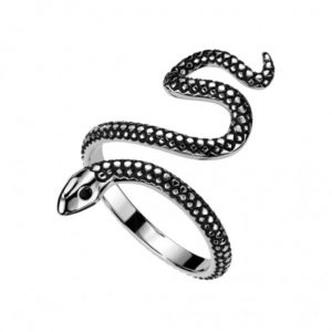 Snake Shadow Silver Ring